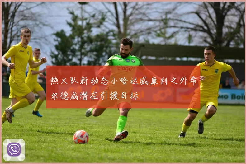 热火队新动态小哈达威康利之外希尔德成潜在引援目标